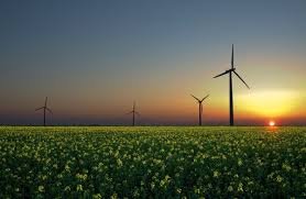 Wind turbines spinning in a field with a cloudy sky